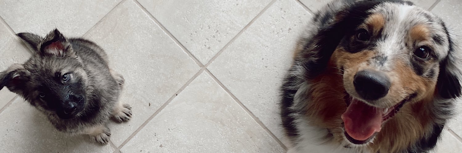 SamiNicole_'s profile banner image