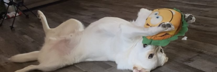 delaneybennett_'s profile banner image