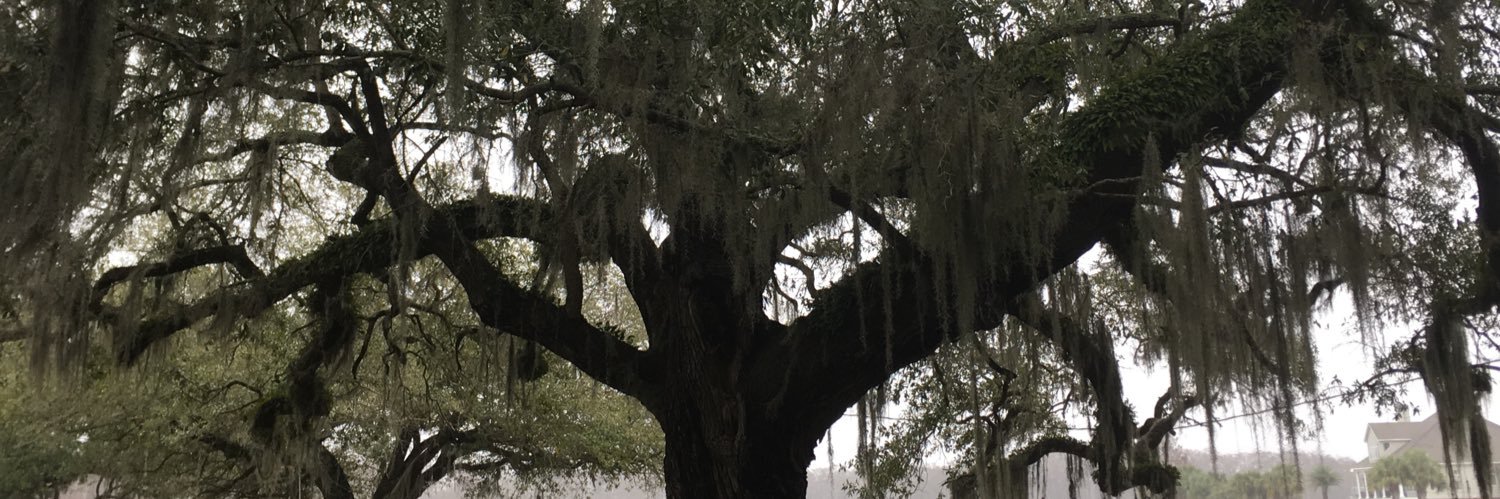 Rachel Navarre banner