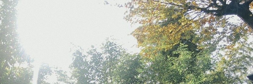 tkkon's profile banner image