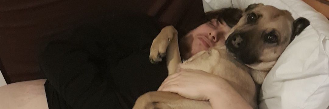 WhatABoshtet's profile banner image