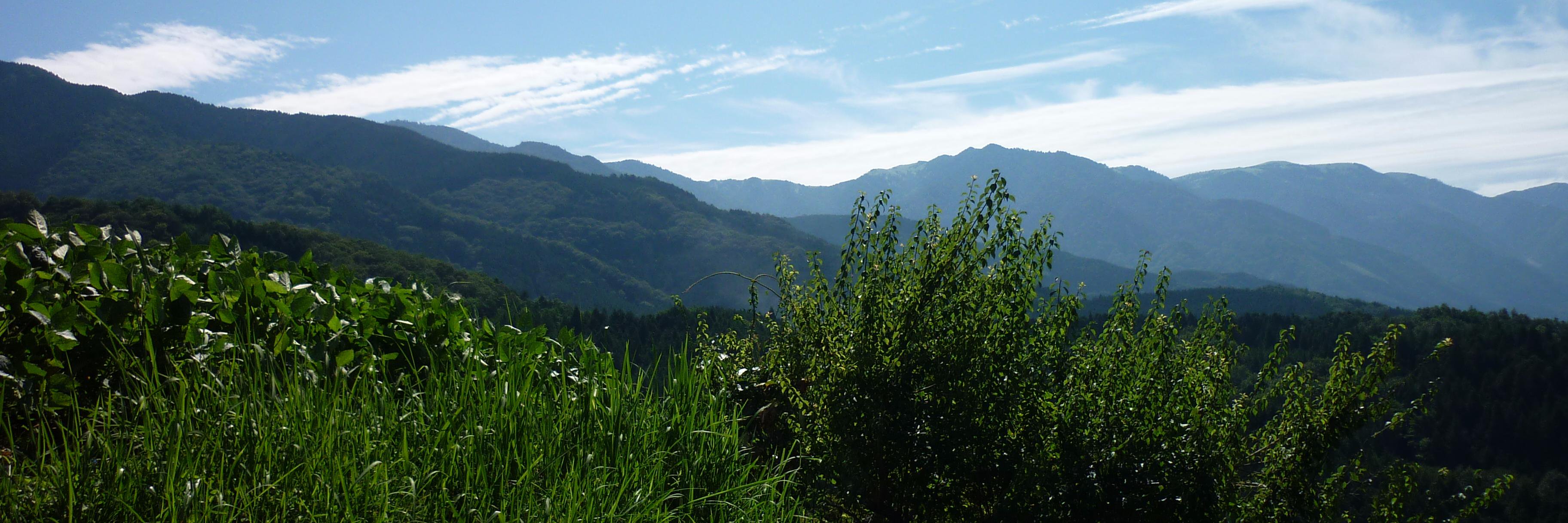 noemix's profile banner image