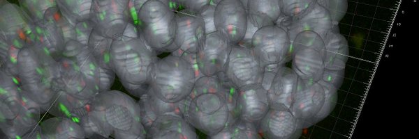 IkegamiLab Profile Banner