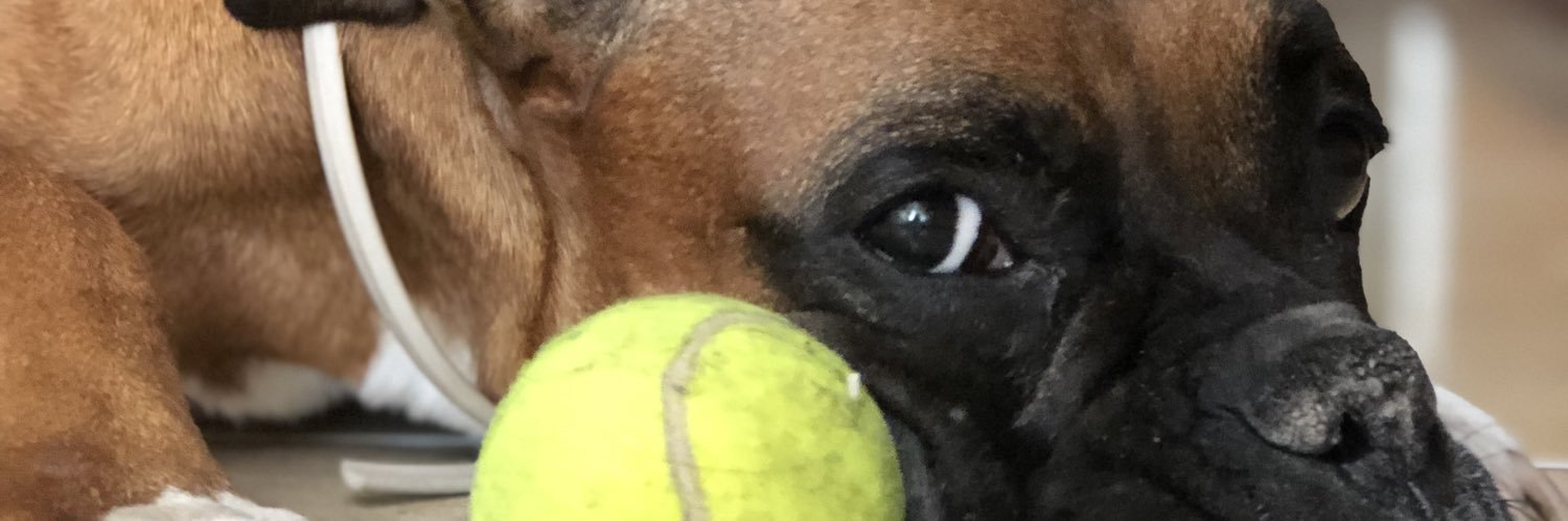 Joosemoraes's profile banner image