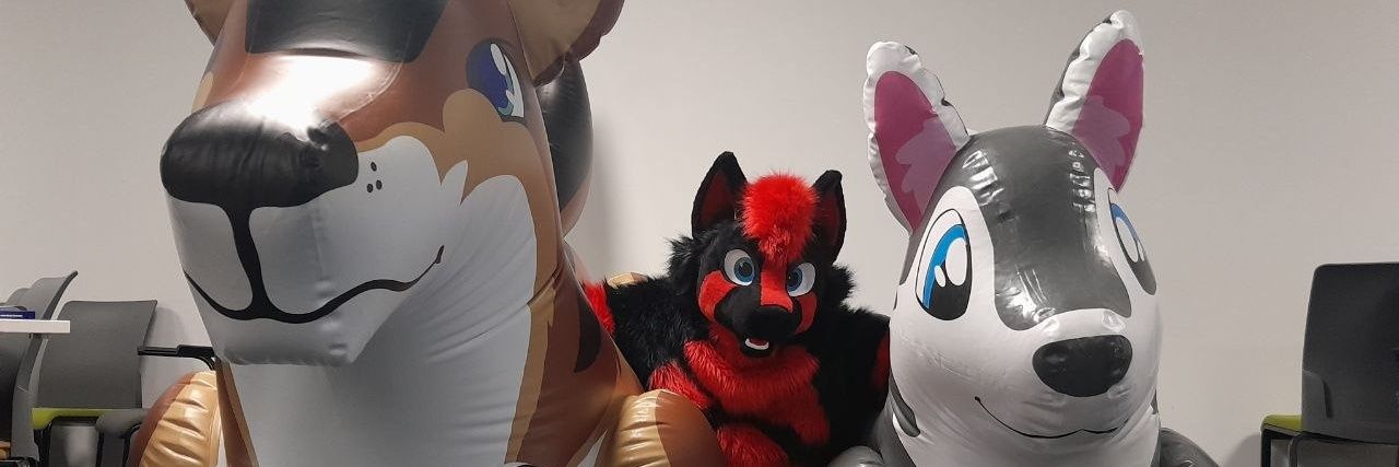 Rinz / Prisma 🔜 Confuzzled 2026 banner