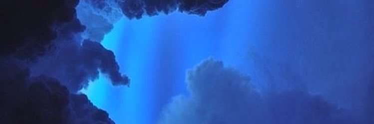 midcalf_sock's profile banner image