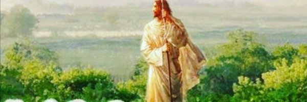 maher_ayob Profile Banner