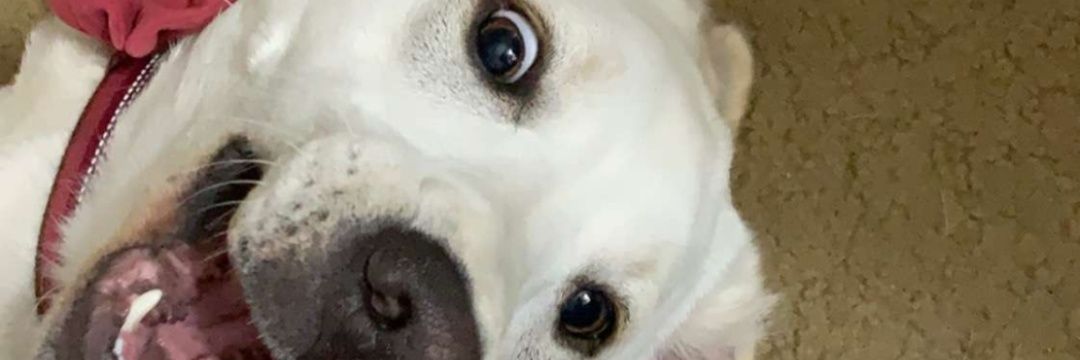 kendrakoge's profile banner image