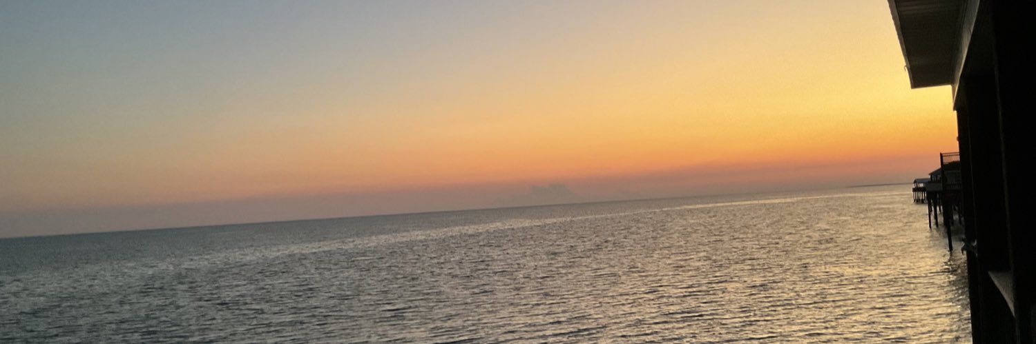 EmilyKHarris2's profile banner image