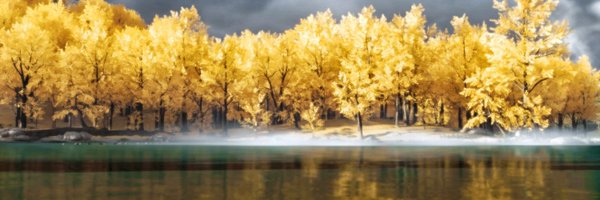 BetweenDPixels Profile Banner