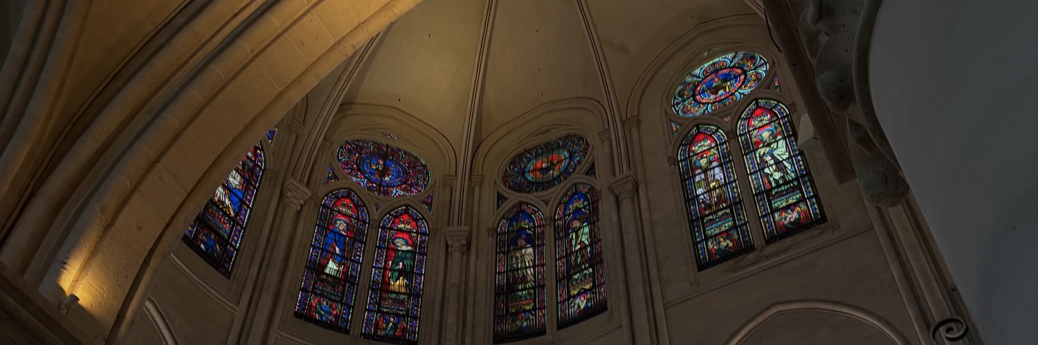 Schnuux's profile banner image