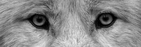 WhoIsMikeJay's profile banner image