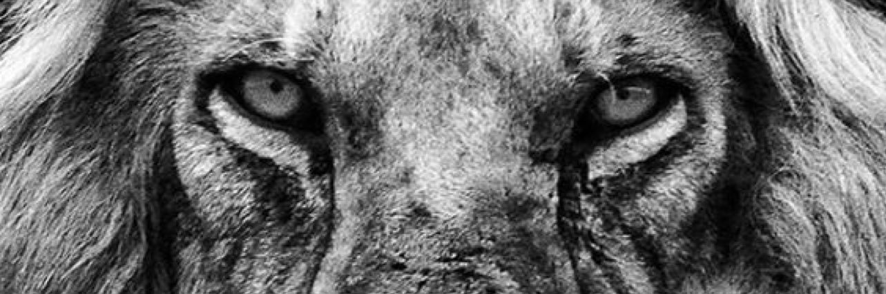 natediesel35's profile banner image