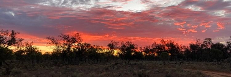 Kelly Williams-Kelly banner