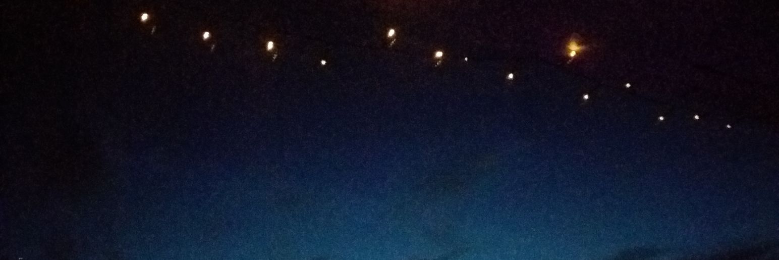 Holly banner