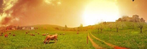 Toward The Golden Light banner