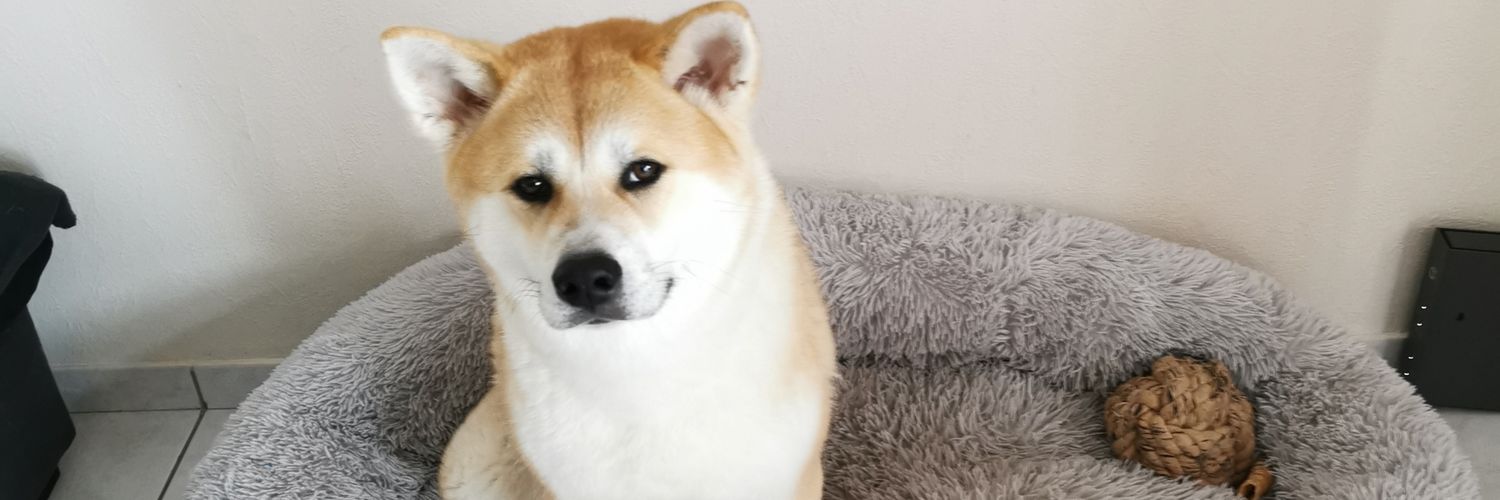 Padde8's profile banner image