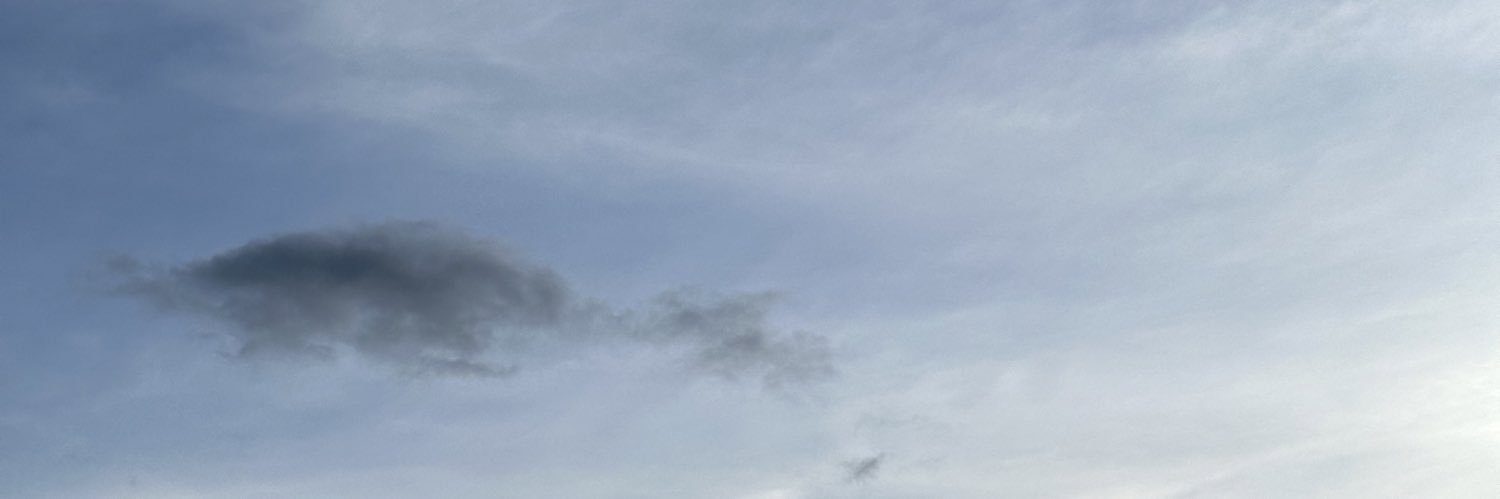 amuiyllart's profile banner image