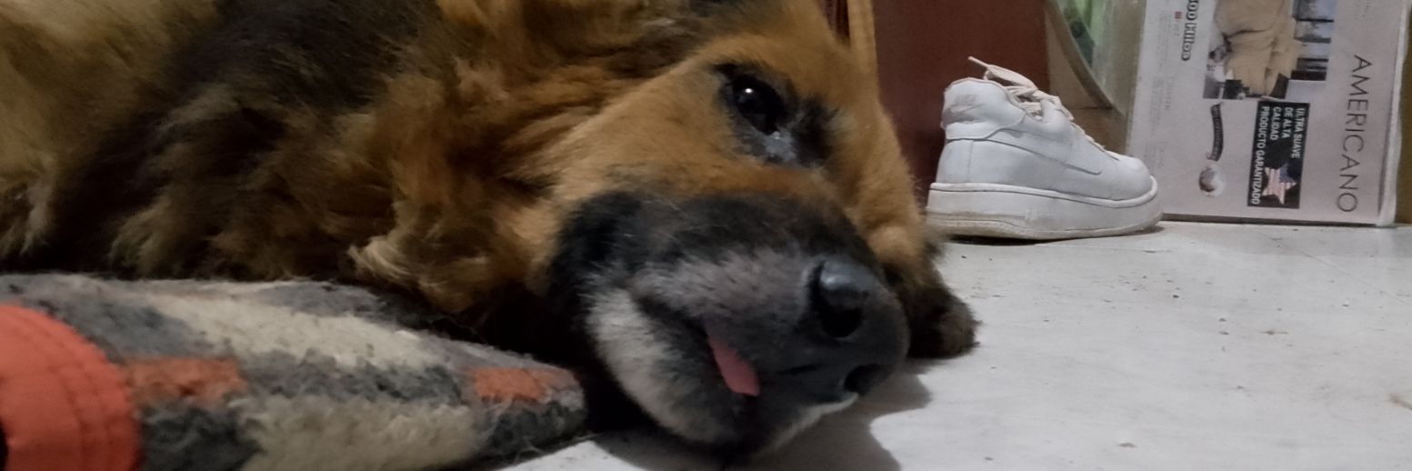 _ch1n0x_'s profile banner image