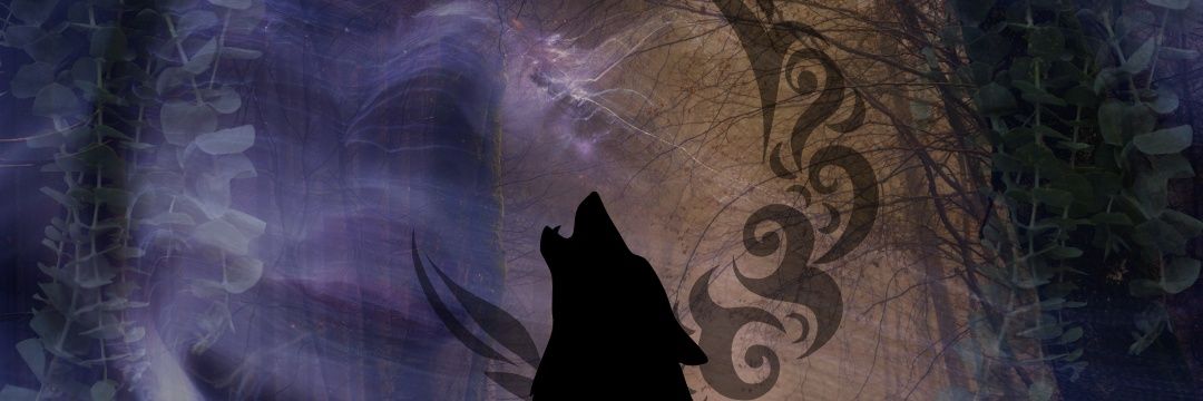 Raven Darkwind (Pippin) banner