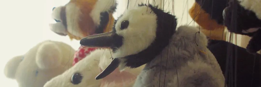 rokka_skunk's profile banner image