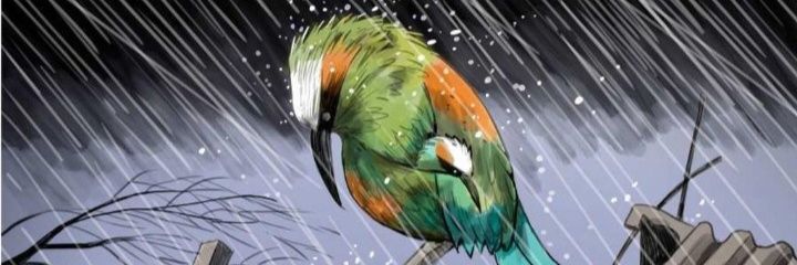 Henry Asc Dios Union Libertad 🕯 banner