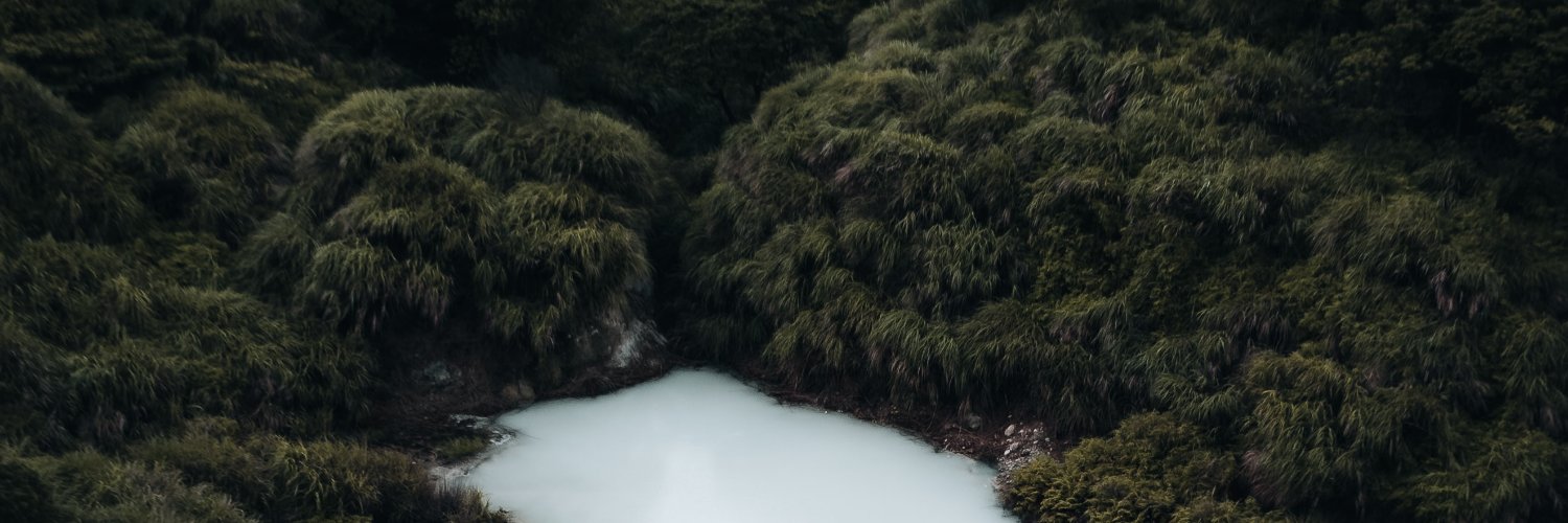 a. banner