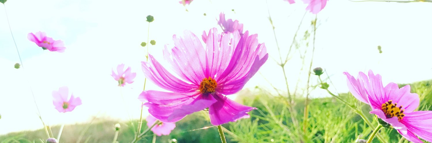 はじめhds【華唐東乳】 banner