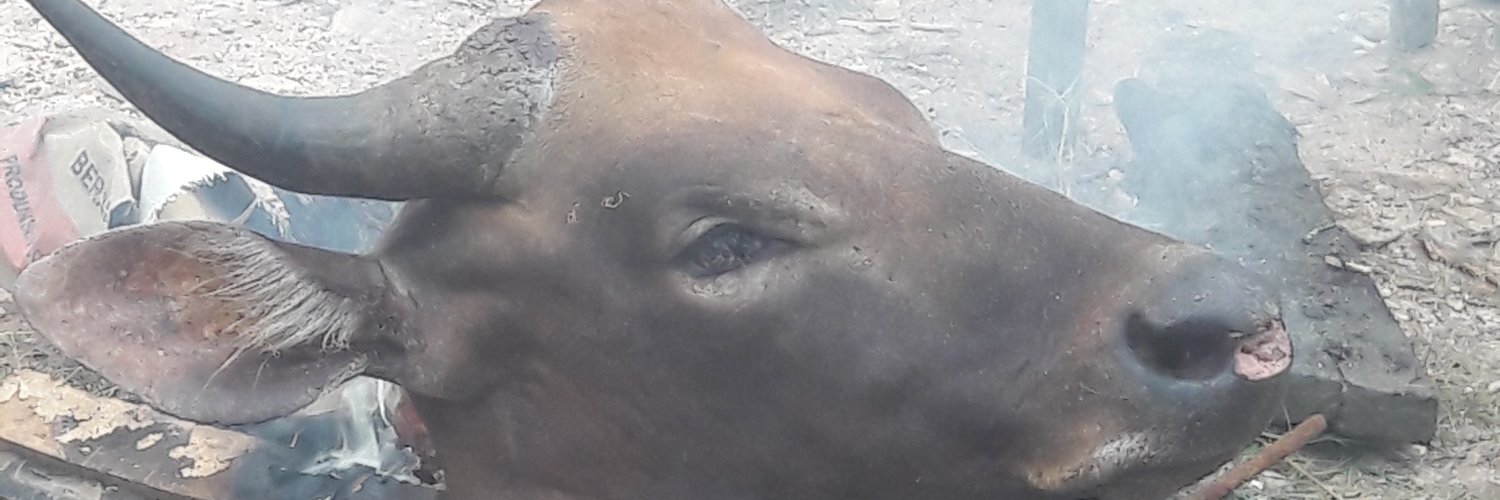 Rama0242's profile banner image