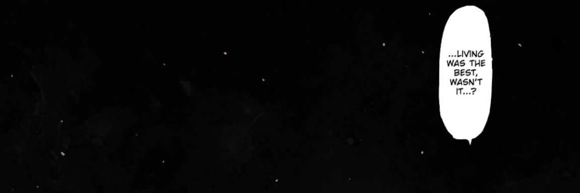 Zinc🐈 banner