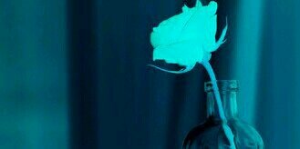 NNanee12's profile banner image