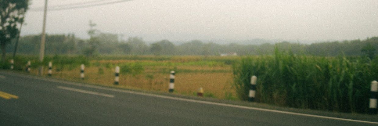 vixxy69's profile banner image