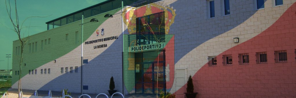 ALOVFUTSAL banner