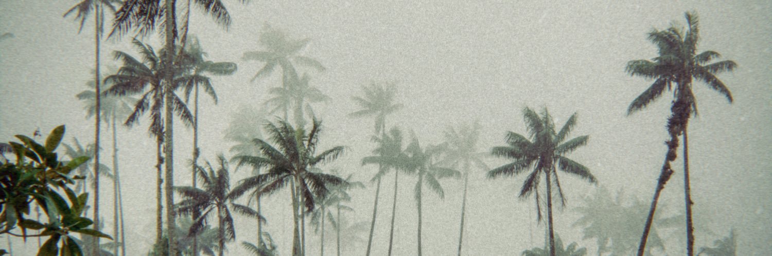 leo_cath's profile banner image