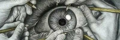 Perceiver banner