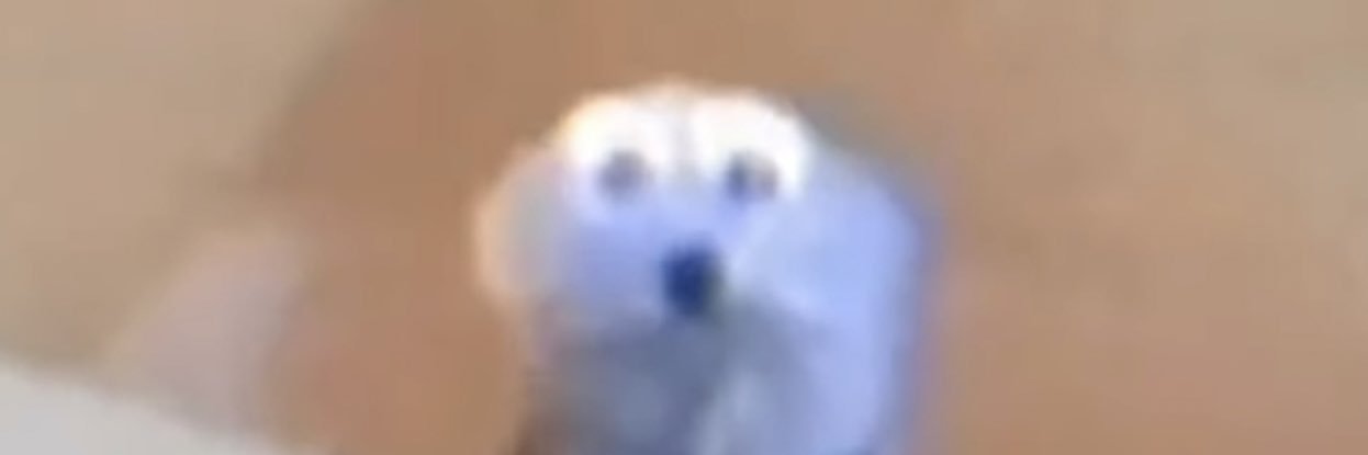 avery_anything's profile banner image