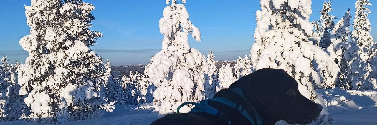 Tuomaskoskiniem's profile banner image
