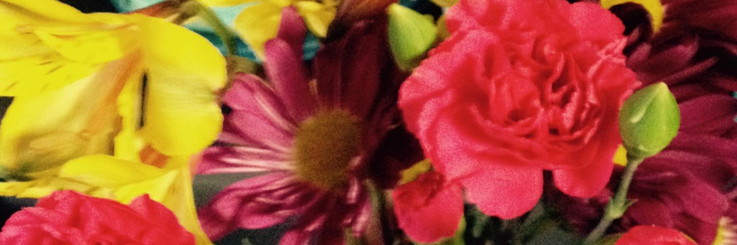 mdineen22's profile banner image