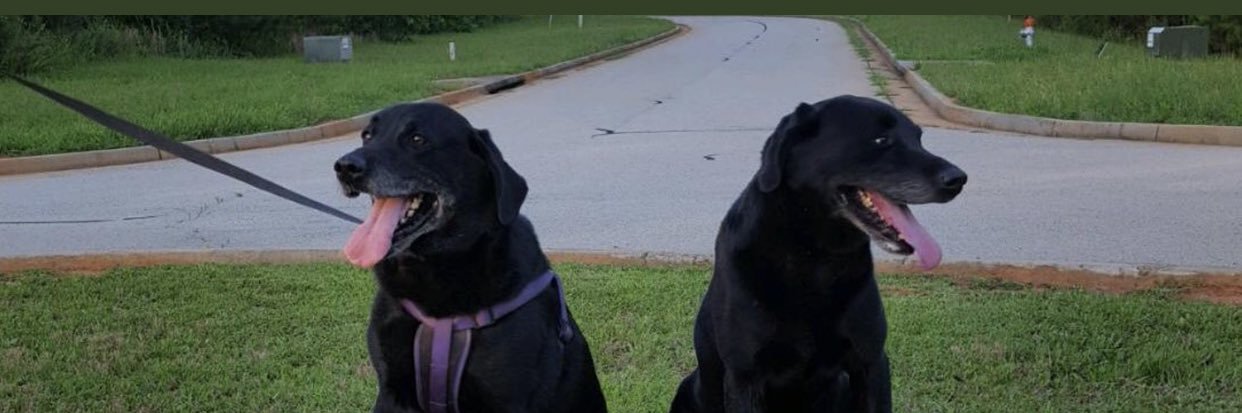 Rhett Carroll banner