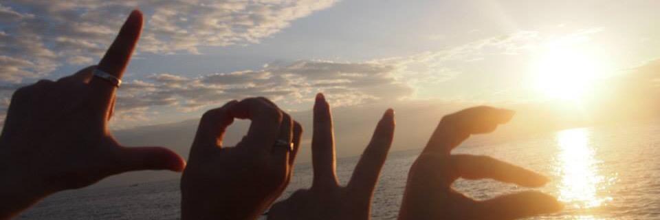 shshadeine's profile banner image