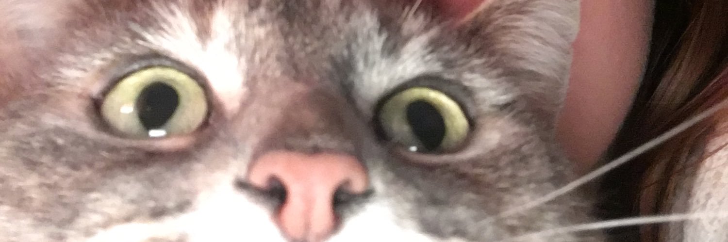 ElisaBollaert's profile banner image