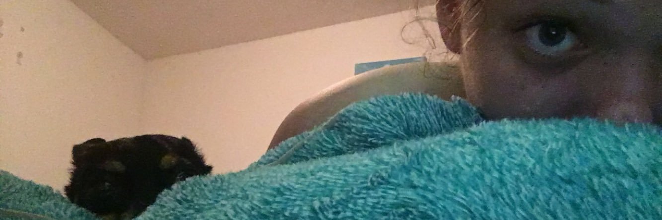 Ellieloveskeals's profile banner image