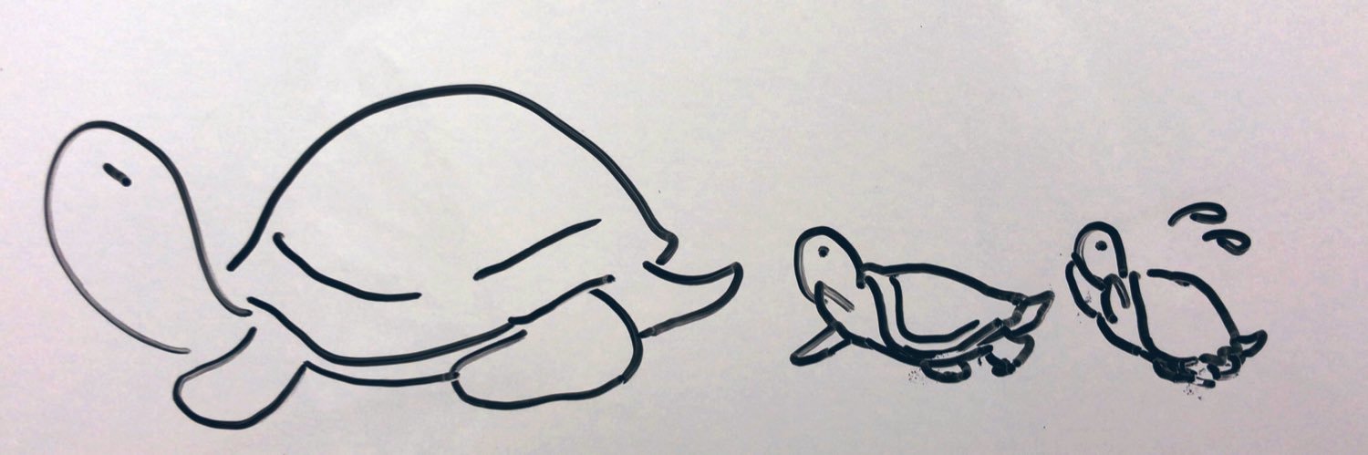 トコちゃん達と世話人の足跡帳 banner