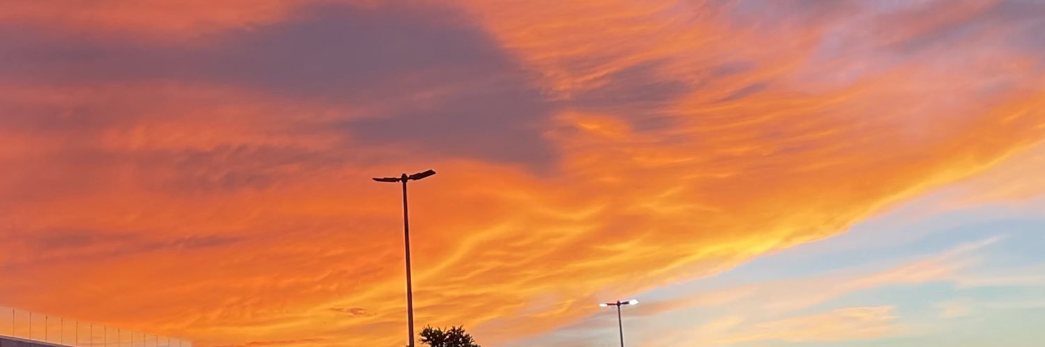 Ligins's profile banner image