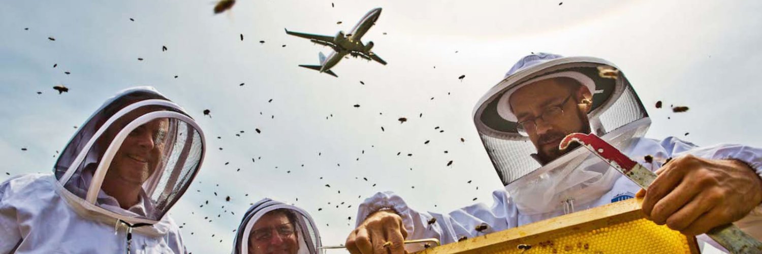 HVN_Beekeeper's profile banner image