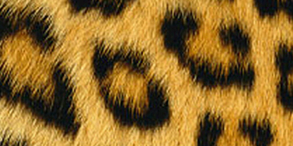 teeeweee_19's profile banner image