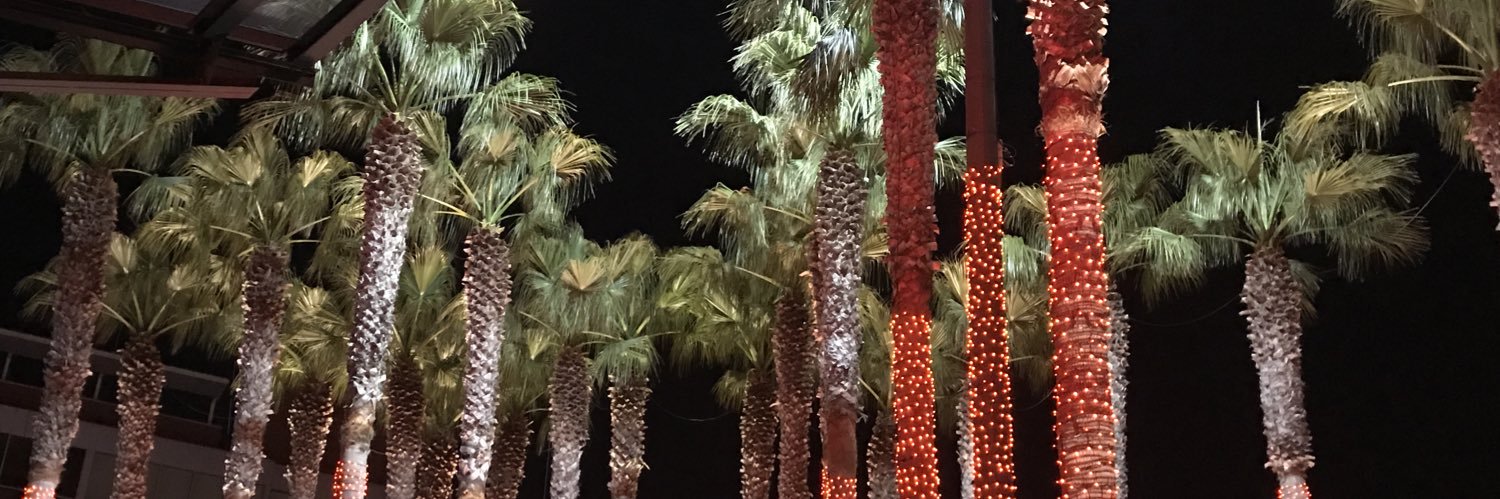 (((Catherine 🟦))) banner