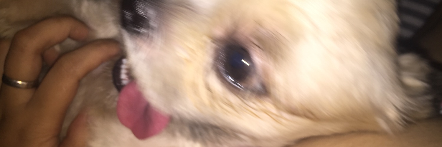 itsbiancaaake's profile banner image