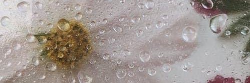 Tipi🌼| WEB3 banner