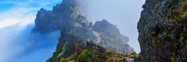 decryptal Profile Banner